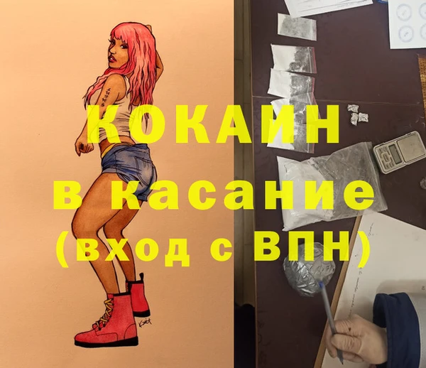 шишки Новосибирск