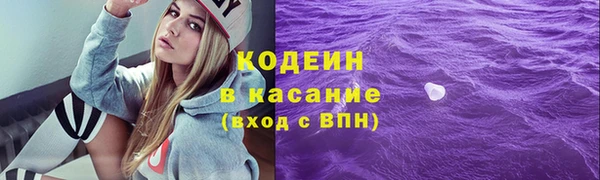 шишки Новосибирск