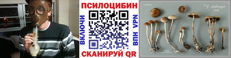 Псилоцибиновые грибы Psilocybe  кракен онион  Михайловка 